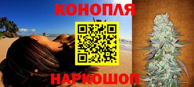 дмт Будённовск