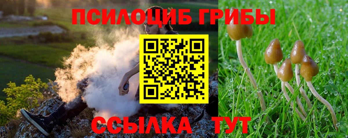 цены   Вход с VPN  Галлюциногенные грибы Magic Shrooms  Петропавловск-Камчатский  Галлюциногенные грибы MAGIC MUSHROOMS 